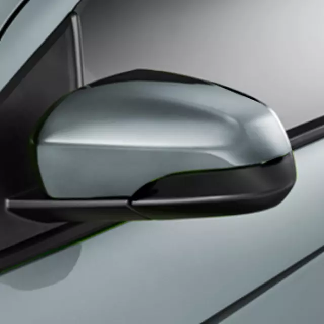 Exterior Mirror Covers