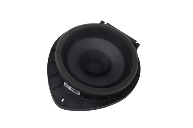 Rear Side Door Speaker