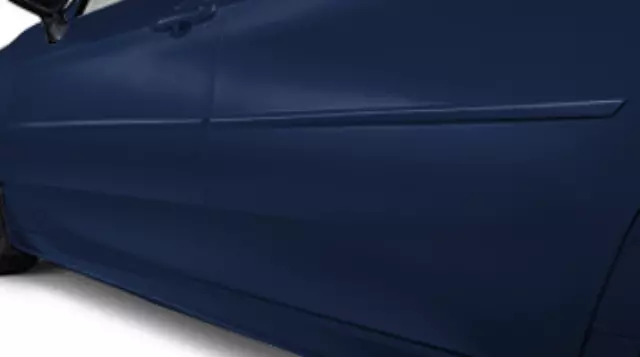 Molding, Body Side, Parisian Night Pearl