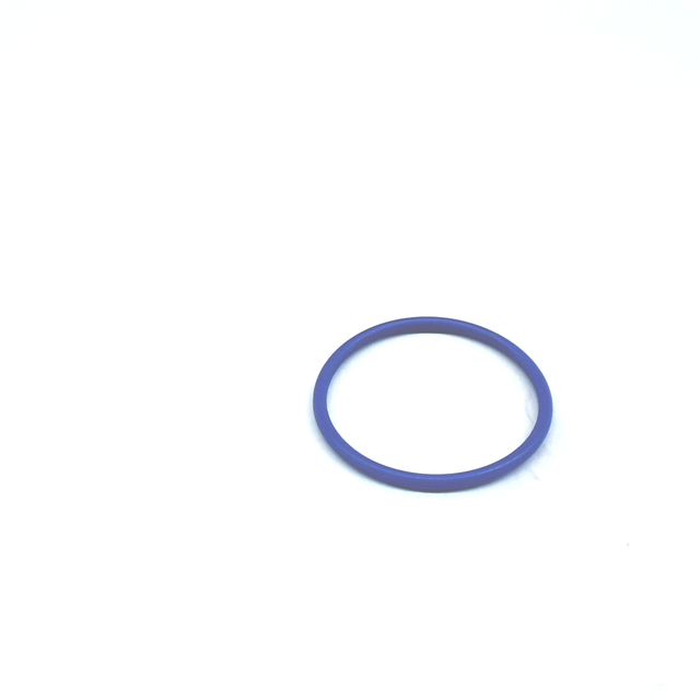 2005-2022 Audi Fuel Pump Gasket WHT-005-184 | Audi Parts