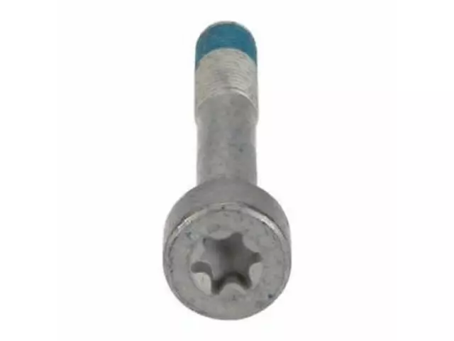 Caliper Mount Bolt