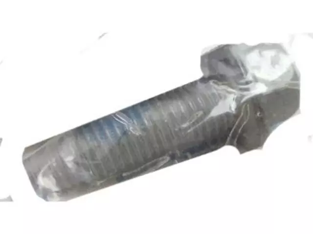 Trailing Arm Rear Bolt