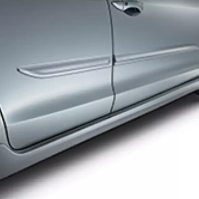 Body Side Molding - Crystal Black Pearl