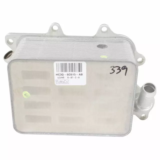 化石　A-6 化石 A-6 【公式通販】