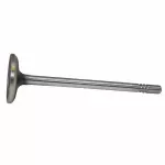 Engine Exhaust Valve