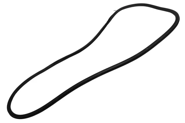 Rear Side Door Weatherstrip