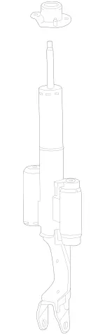 Shock-Absorber Strut