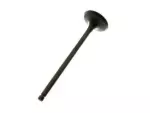 Exhaust Valve