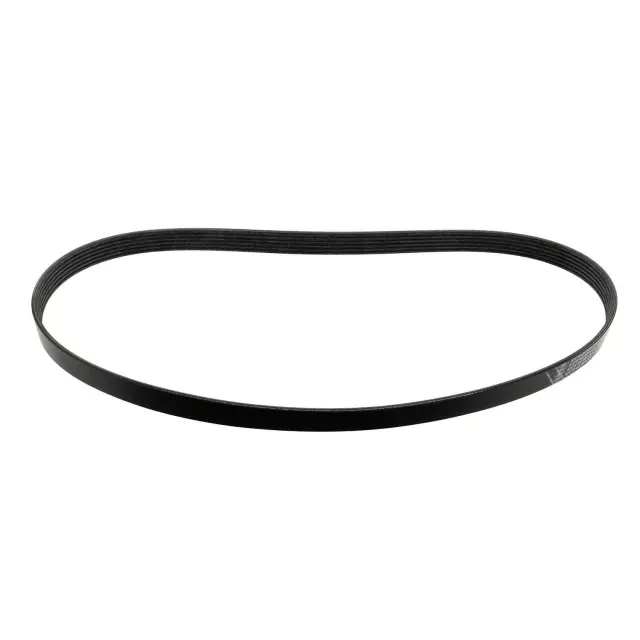 Serpentine Belt