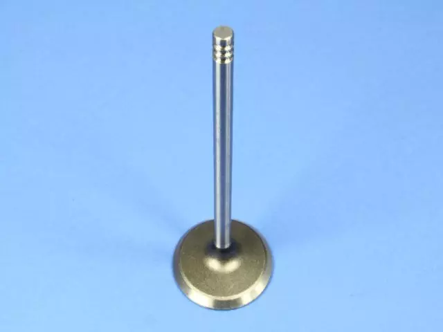 Intake Valve