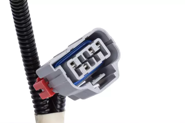 Driver Side Tail Lamp Assembly