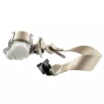 Seat Belt Assembly