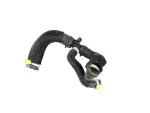 Radiator Outlet Hose And Clamp
