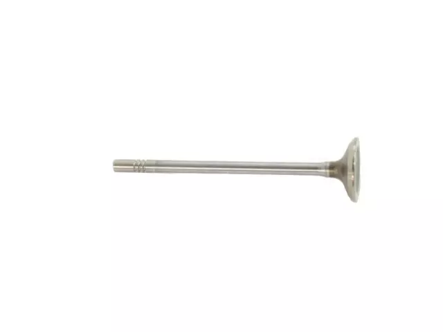 Engine Exhaust Valve