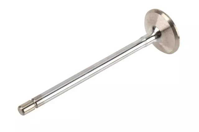 Exhaust Valve
