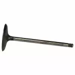 Engine Intake Valve