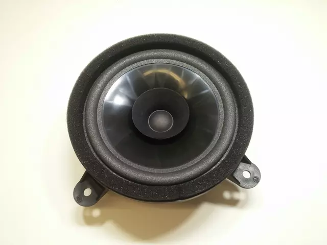 Rear Dr Speaker