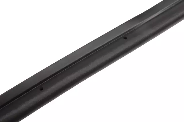 Front Passenger Side Door Weatherstrip