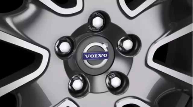 2015-2018 Volvo - Lug Nut Plastic Caps - Kit Of Twenty - Silver