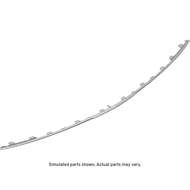 Rear Bumper Fascia Lower Molding