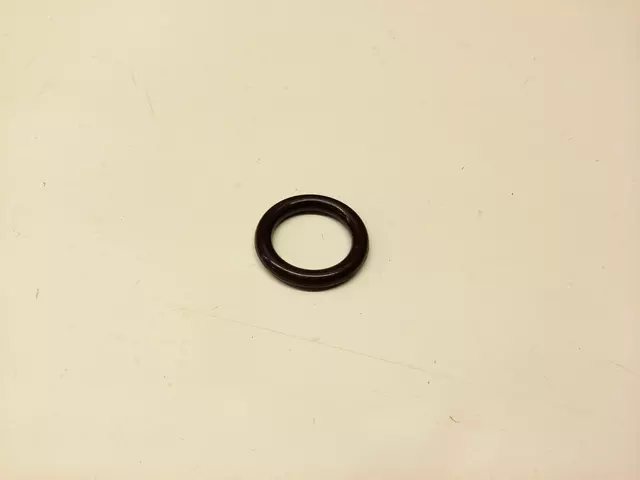 O-Ring