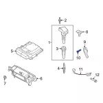 Crankshaft Sensor Screw