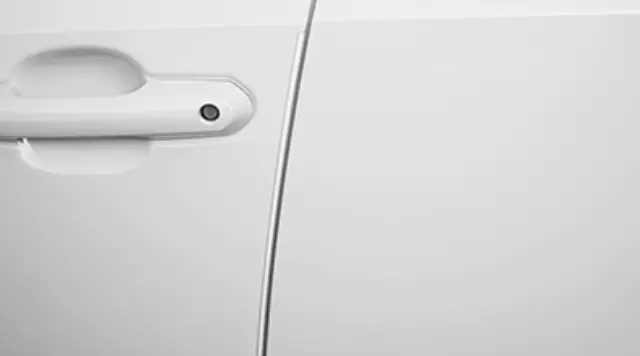 OEM 2019-2024 Toyota RAV4 Door Edge Guards, Lunar Rock Part