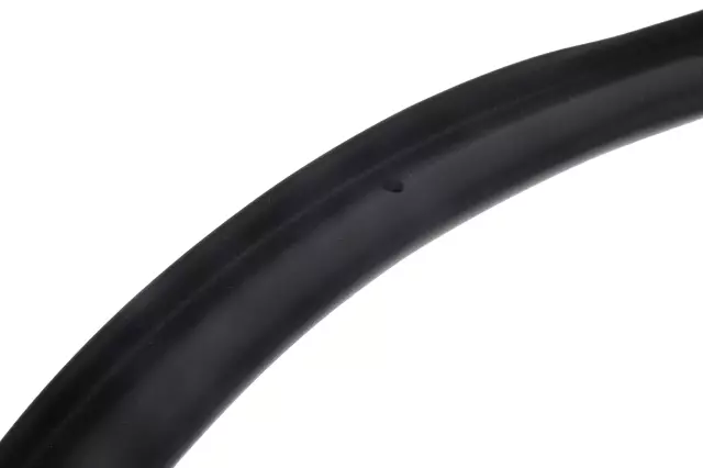 Rear Driver Side Door Weatherstrip