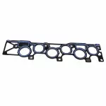 Manifold Gasket