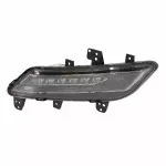 Fog Lamp Assembly