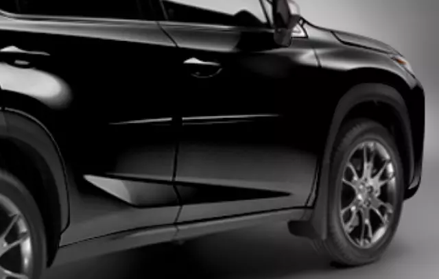 Body Side Moldings - Obsidian