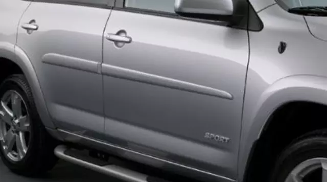 Molding, Body Side, Magnetic Gray Metallic