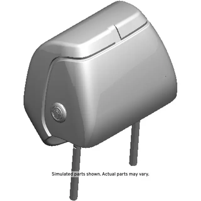 Light Platinum Front Seat Head Restraint