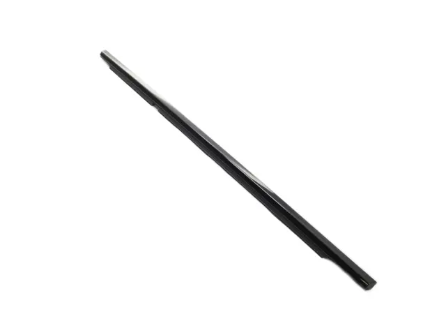 Door Belt Outer Weatherstrip, Left