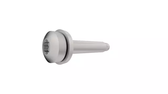 Torx Head Bolt, Mounting Left Side, Secondary