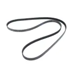 Accessory Drive Belt