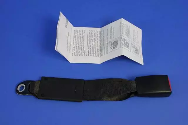 Rear Lap Buckle Seat Belt, Center