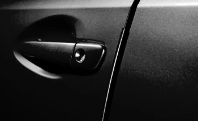 Door Edge Guards - Obsidian