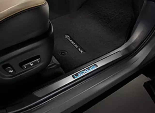 Illuminated Door Sills