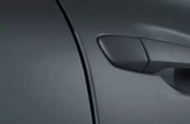 Door Edge Guards - Nebula Gray Pearl