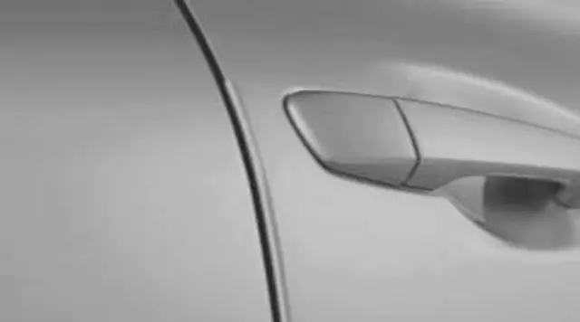 2014-2019 Lexus GX460 - Door Edge Guards, Silver Lining Metallic