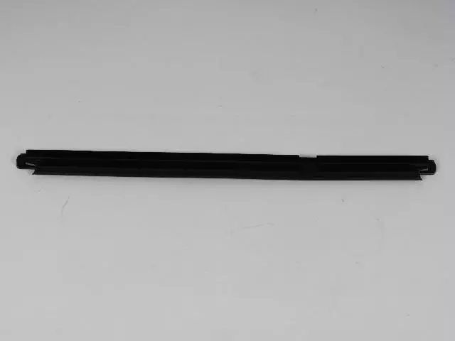 REAR DOOR BELT - W/STRIP | Mopar 55396704AF