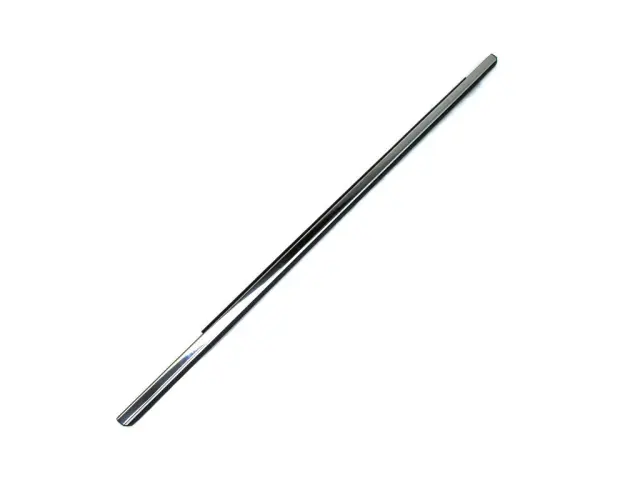 Rear Door Belt Outer Weatherstrip, Left