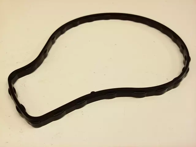 Water Pump Gasket