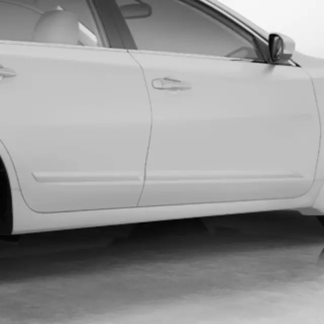 Body Side Moldings, Driver Side