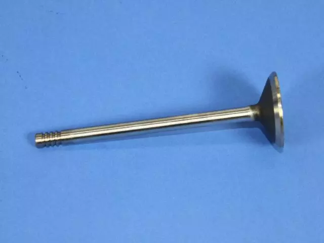 Exhaust Valve