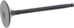 Intake Valve