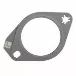 Converter & Pipe Gasket