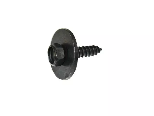 Hex Head Screw