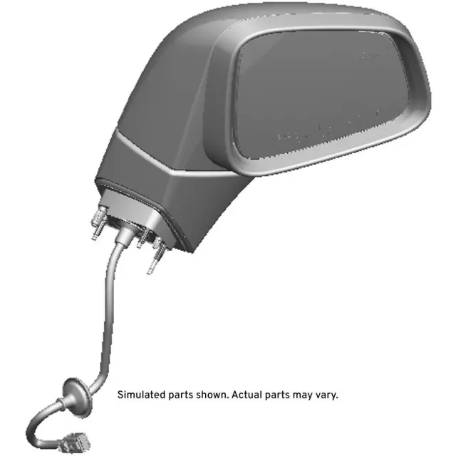 Passenger Side Door Mirror